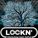 Four Quick Things: Lockn’ Music Festival