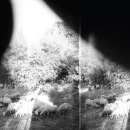 News: Godspeed You! Black Emperor Announces New Album, Song Excerpt