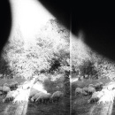 Review: Godspeed You! Black Emperor – Asunder, Sweet, and Other Distress